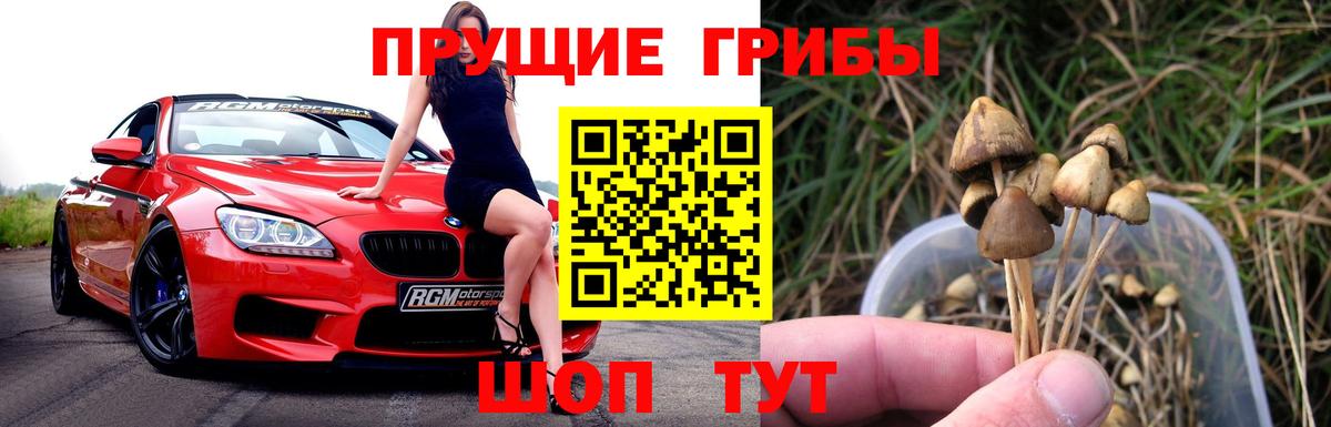 Галлюциногенные грибы Psilocybine cubensis  Вход с VPN  купить наркоту  Сальск  Галлюциногенные грибы мухоморы 